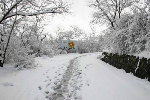 辽源龙山雪景