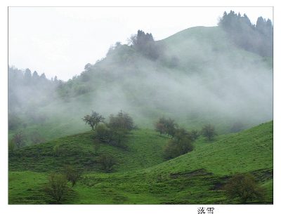 雨