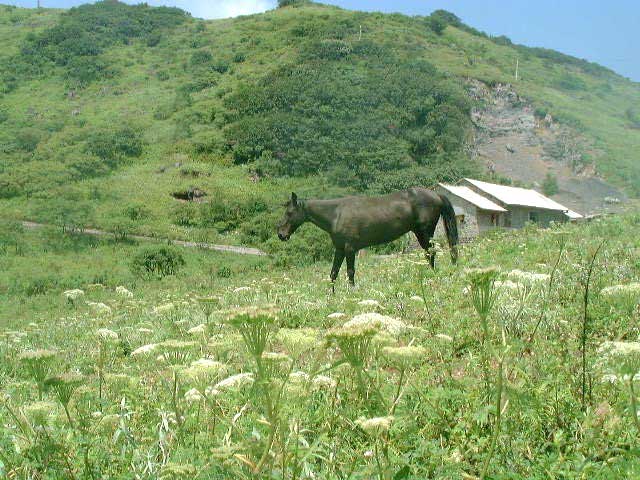 重庆南川金佛山