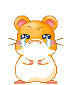 哭泣的小猫