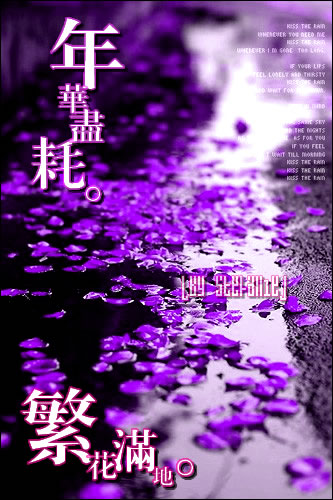 紫色流年