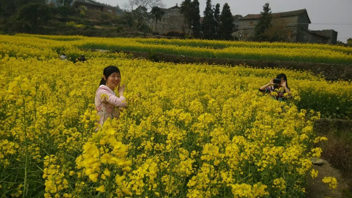 春花烂漫