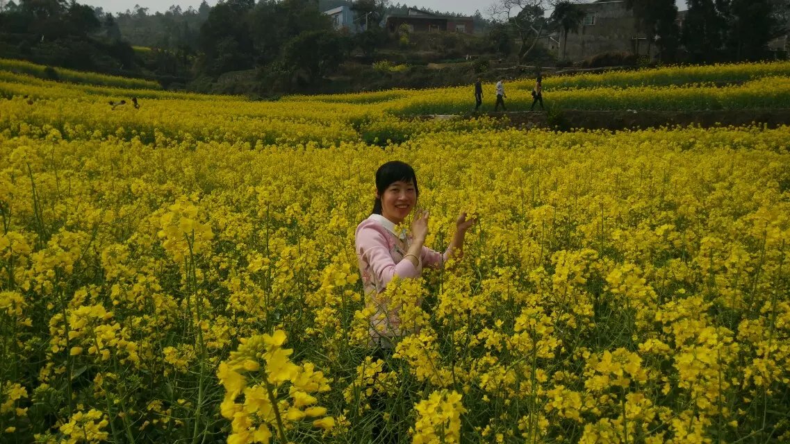 春花烂漫