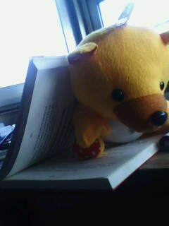 小熊看书