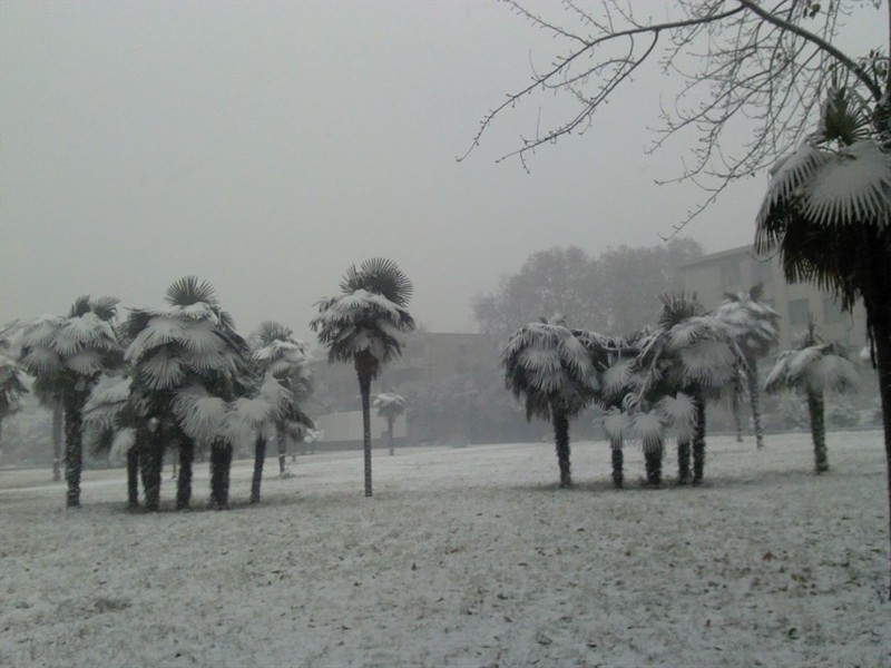 雪中的校园