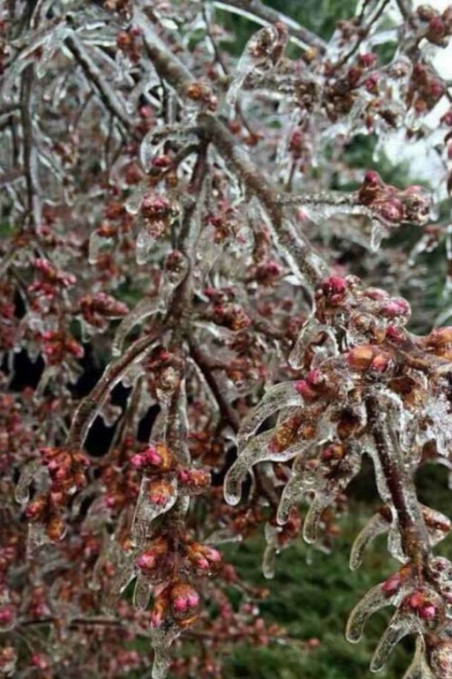 下了一天雨，第二天开门看到是这个样子