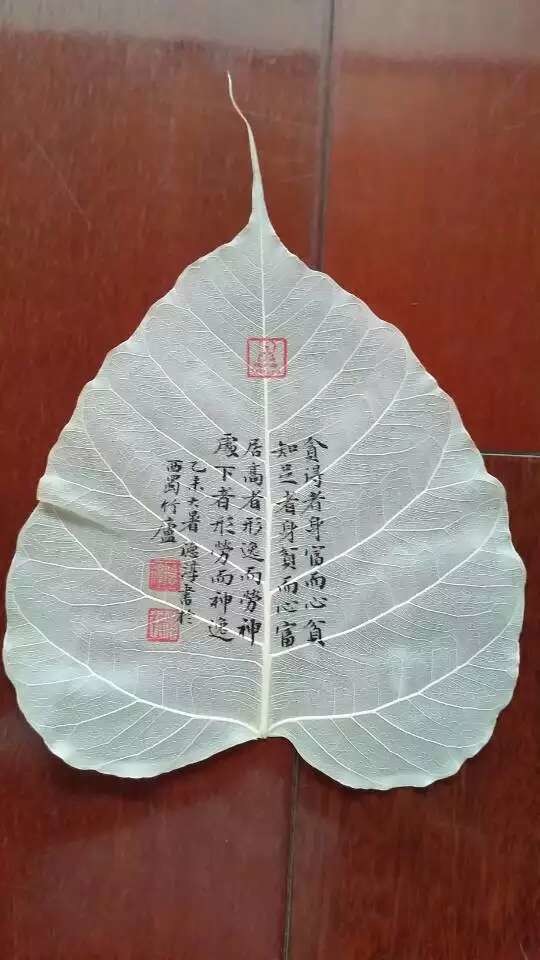 菩提叶上书1