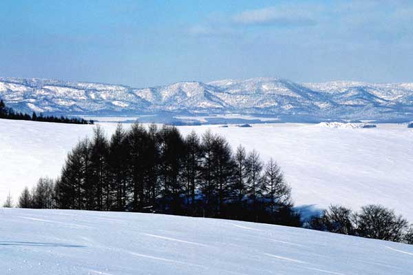 北海道雪景