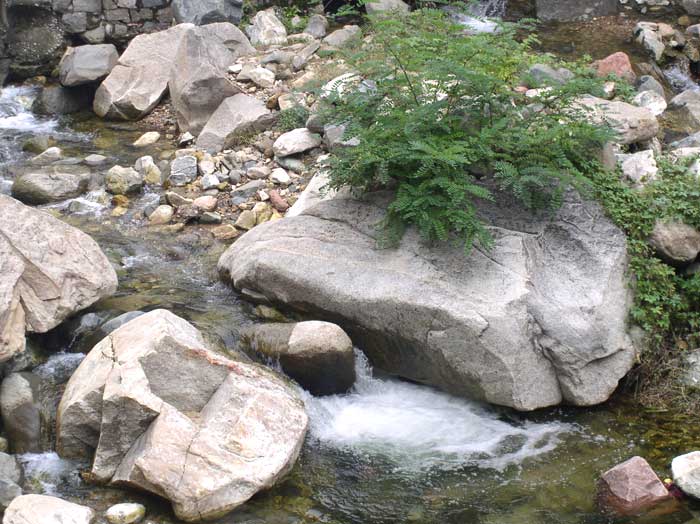 石头缝里的小溪