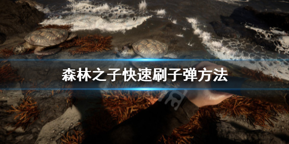 《森林之子》怎么刷子弹？快速刷子弹方法介绍