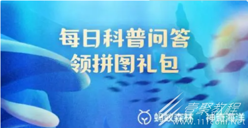 神奇海洋海蜘蛛的主要食物是什么