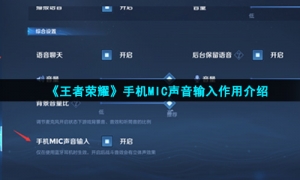 《王者荣耀》手机MIC声音输入作用介绍