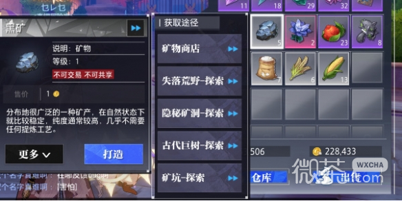 晶核黑矿在哪攻略