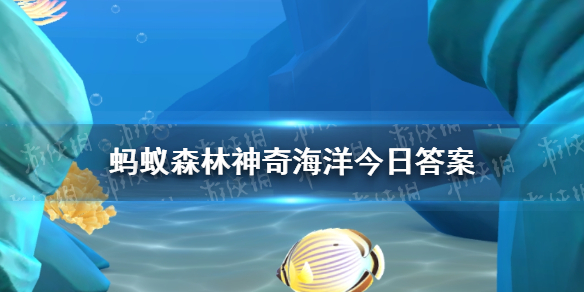 神奇海洋今日答案8.21海豚等海洋哺乳动物通过群体进行活动的目的是什么