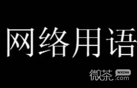 魔怔大玉梗是什么意思详情