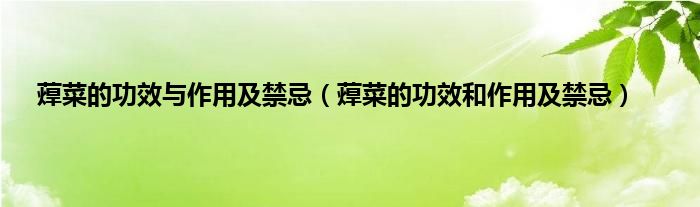 蔊菜的功效与作用及禁忌（蔊菜的功效和作用及禁忌）