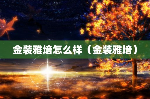 金装雅培怎么样（金装雅培）