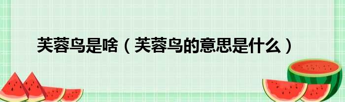 芙蓉鸟是啥（芙蓉鸟的意思是什么）
