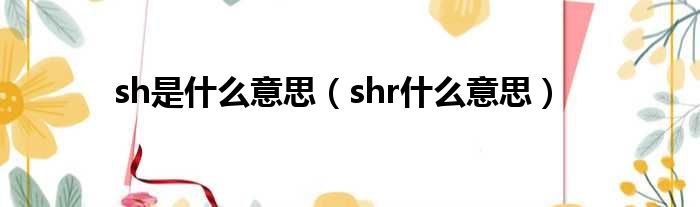 sh是什么意思（shr什么意思）