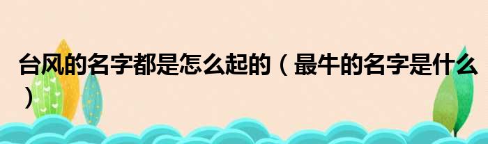 台风的名字都是怎么起的（最牛的名字是什么）
