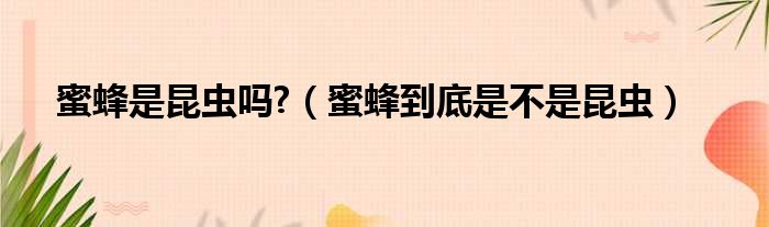 蜜蜂是昆虫吗?（蜜蜂到底是不是昆虫）