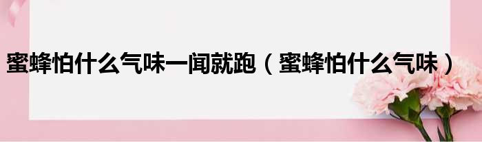 蜜蜂怕什么气味一闻就跑（蜜蜂怕什么气味）