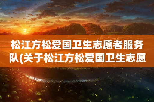 松江方松爱国卫生志愿者服务队(关于松江方松爱国卫生志愿者服务队的简介)