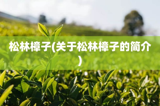 松林樟子(关于松林樟子的简介)