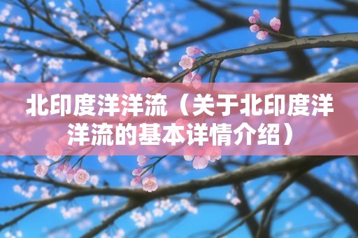北印度洋洋流（关于北印度洋洋流的基本详情介绍）