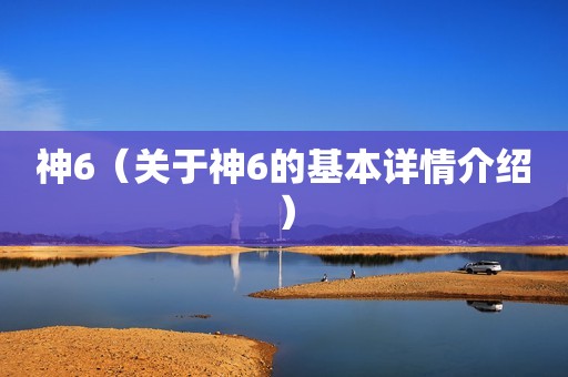 神6（关于神6的基本详情介绍）