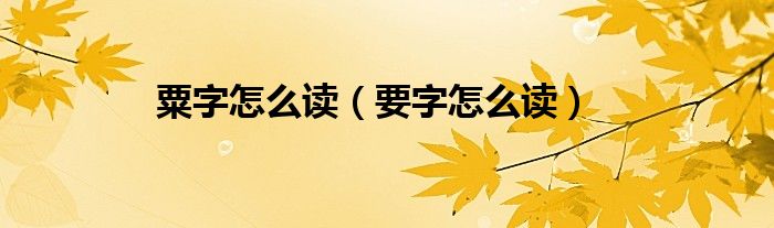 粟字怎么读（要字怎么读）