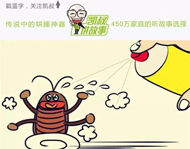 比蟑螂屋还有效的办法,让你家蟑螂彻底滚蛋了 比蟑螂大