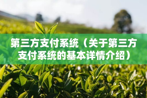 第三方支付系统（关于第三方支付系统的基本详情介绍）