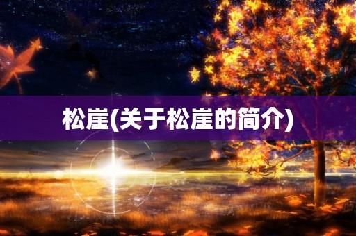 松崖(关于松崖的简介)