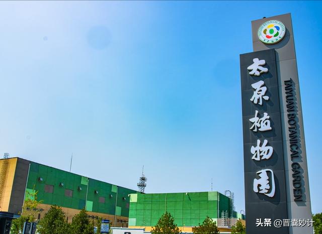 认领菜园种菜实景