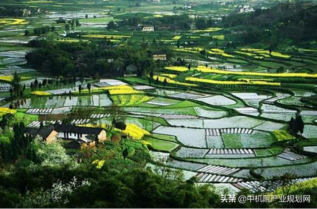 美丽乡村规划建设简介