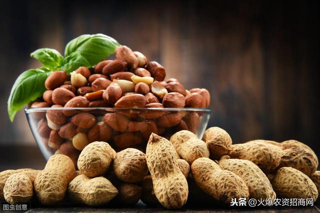 花生什么时候种什么时候收