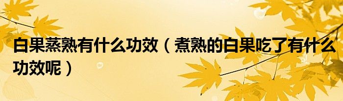白果蒸熟有什么功效