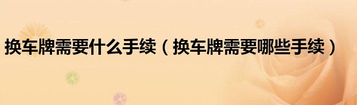换车牌需要什么手续