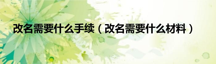 改名需要什么手续