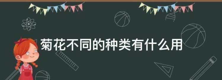 不同菊花茶的功效与作用口臭喝什么菊花