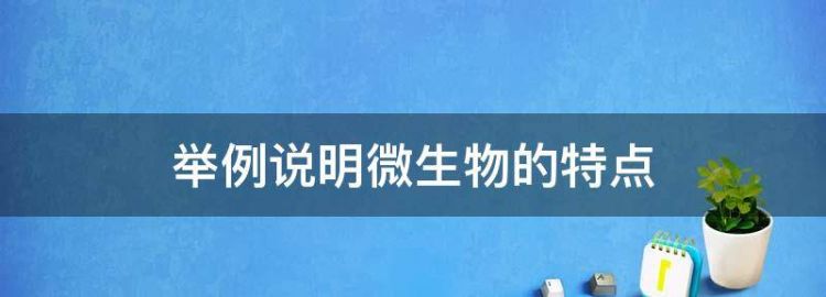 什么是微生物,微生物的特点