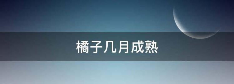 橘子不是唯一的水果几页