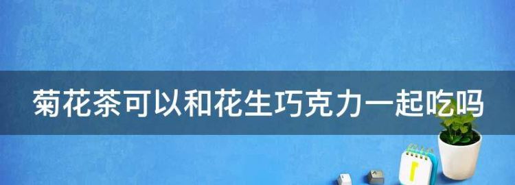 菊花茶可以和花生巧克力一起吃
