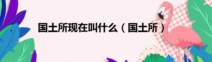 国土所现在叫什么