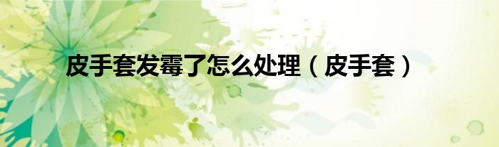 皮手套发霉了怎么处理