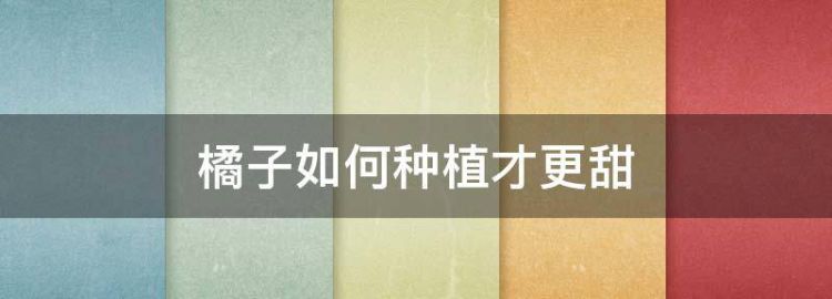 家里种的橘子树为什么不结果