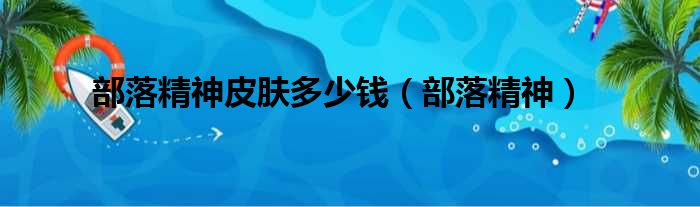 部落精神皮肤多少钱