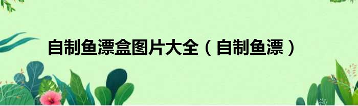 自制鱼漂盒图片大全