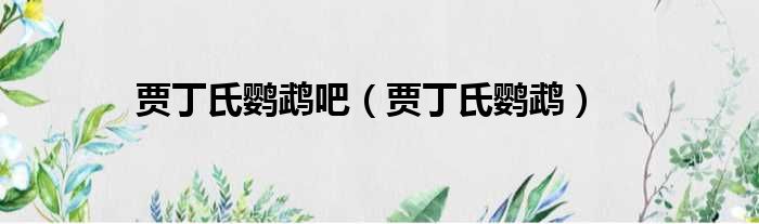 贾丁氏鹦鹉吧